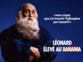 Voir
