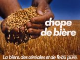 Voir