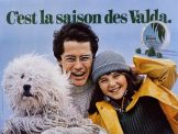 Voir